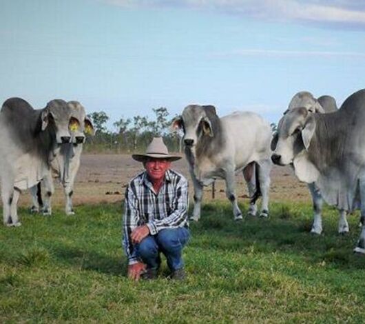 SITECORE-Back-up service the key to choosing Gallagher gear-General Purpose SITECORE-Back-up service the key to choosing Gallagher gear-General Purpose