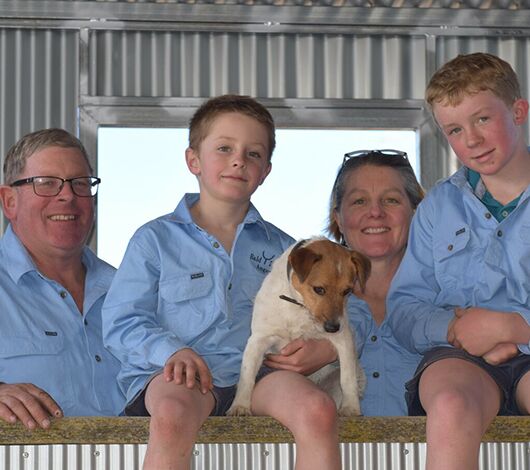 SITECORE-Bald Blair Angus stud relies on cutting-edge Gallagher technology-General Purpose SITECORE-Bald Blair Angus stud relies on cutting-edge Gallagher technology-General Purpose