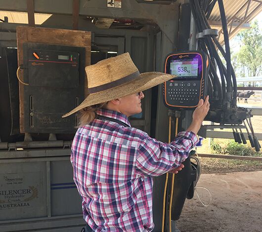 SITECORE-Equipment performance and longevity weigh in Gallagher's favour at Duaringa Station-General Purpose SITECORE-Equipment performance and longevity weigh in Gallagher's favour at Duaringa Station-General Purpose