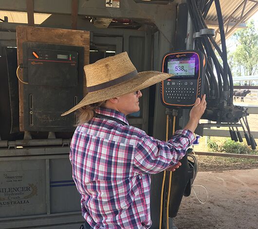 SITECORE-Equipment performance and longevity weigh in Gallagher's favour at Duaringa Station-General Purpose