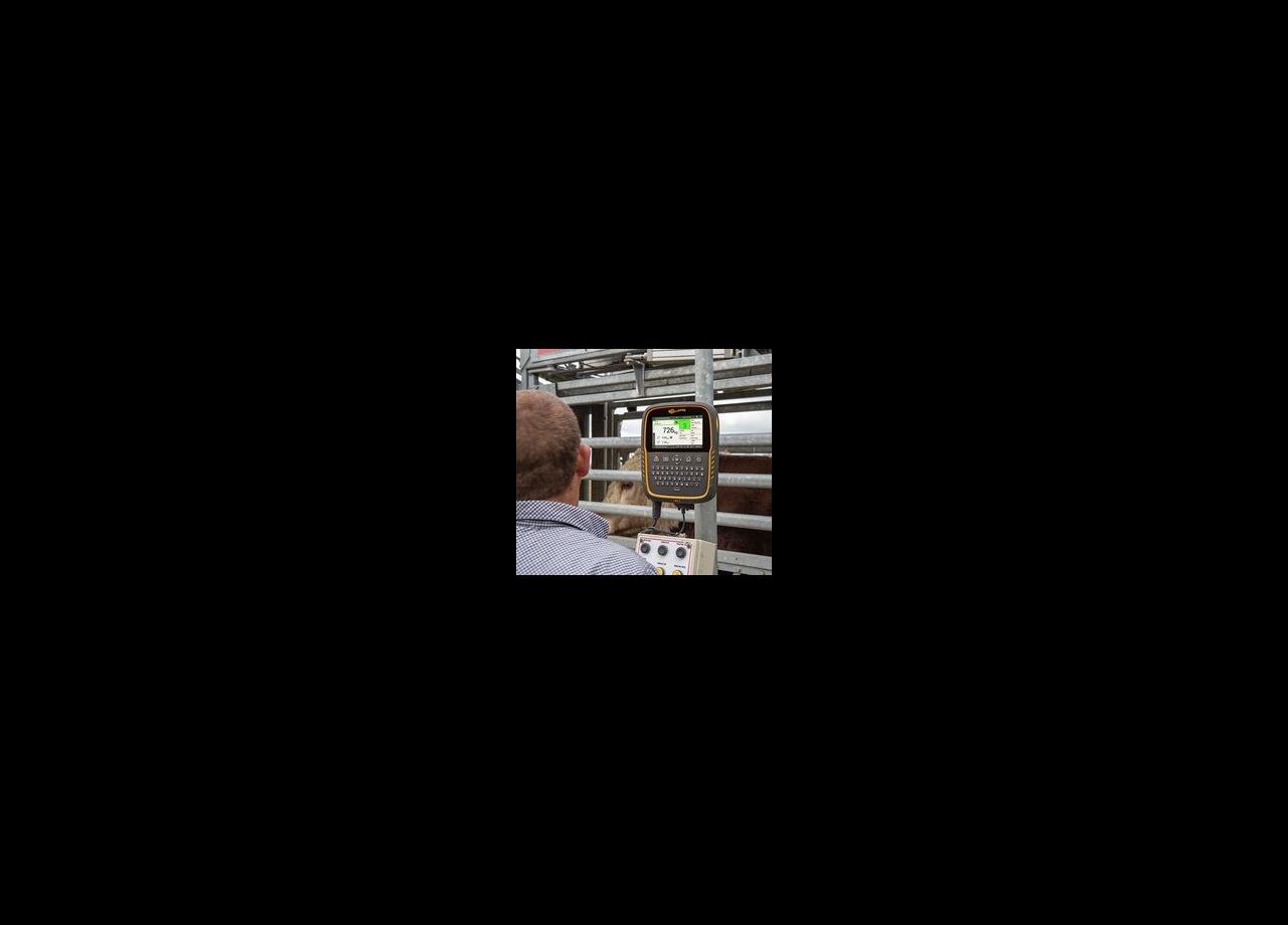 Gallagher TWR-5 allows accurate, detailed livestock management-General Purpose Gallagher TWR-5 allows accurate, detailed livestock management-General Purpose