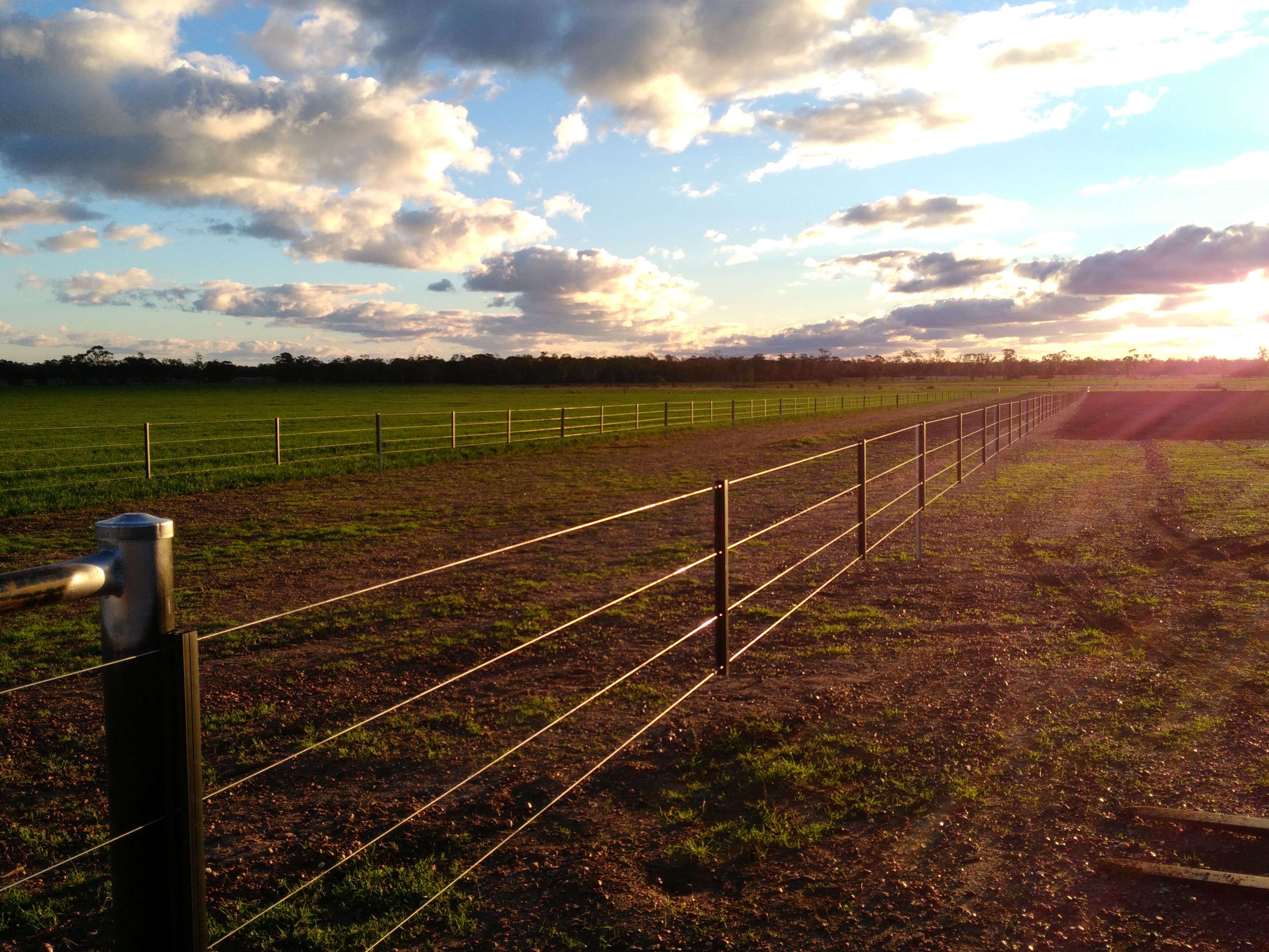 Gallagher Westonfence separates bulls from cycling cows perfectly-General Purpose Gallagher Westonfence separates bulls from cycling cows perfectly-General Purpose
