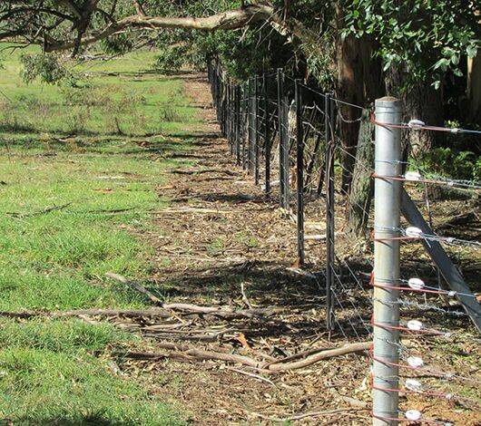 SITECORE-Gallagher exclusion fence protects farm surrounded by national park from deer-General Purpose Gallagher Westonfence on farm