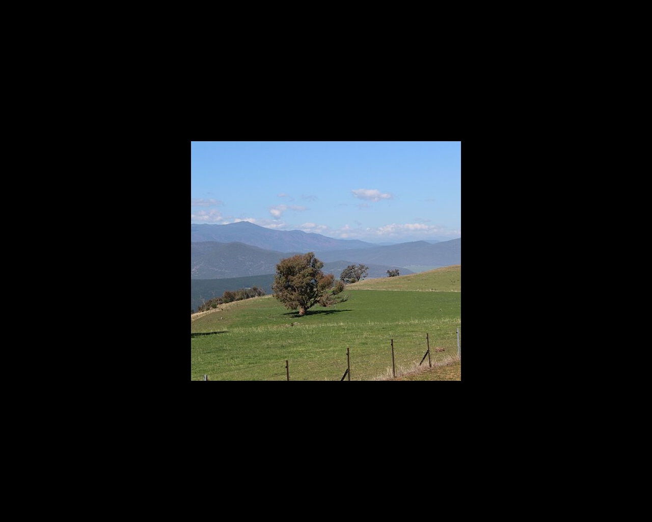 Gallagher Westonfence strikes blow to ferals on gun shearer’s property-General Purpose Gallagher Westonfence strikes blow to ferals on gun shearer’s property-General Purpose
