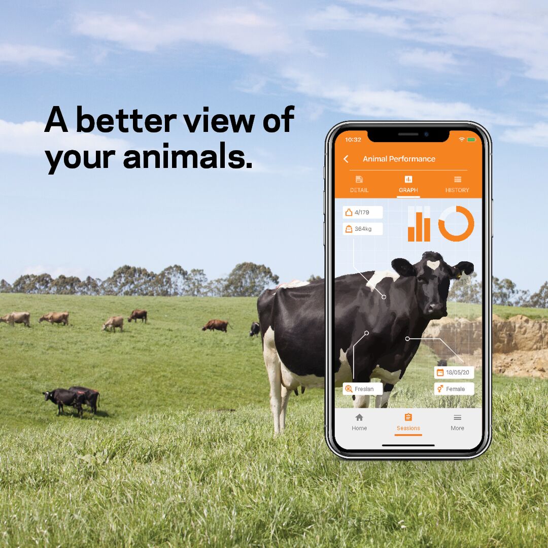 Animal Performance -Instagram Post -General Purpose Animal Performance -Instagram Post -General Purpose