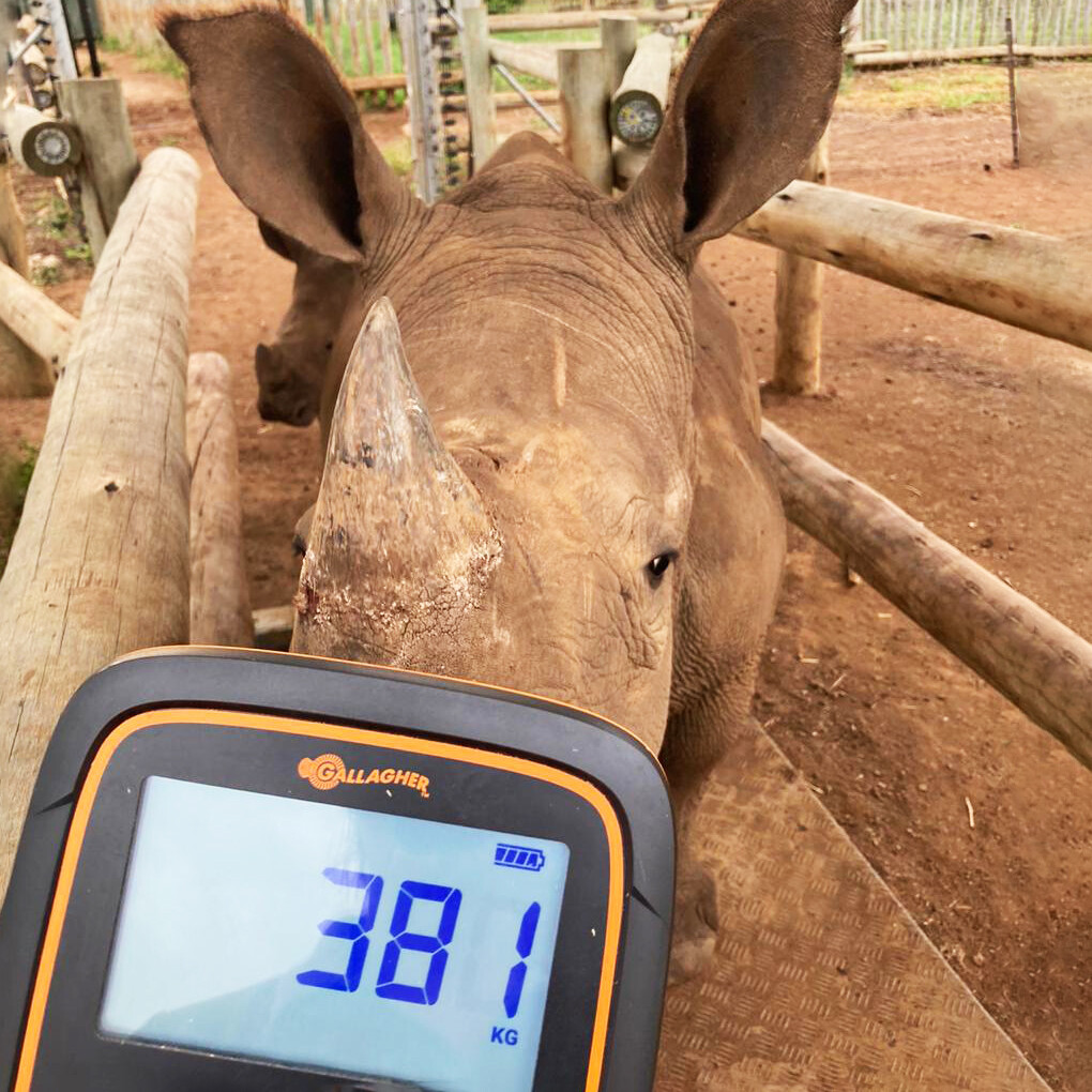 Zululand story-General Purpose Zululand story-General Purpose