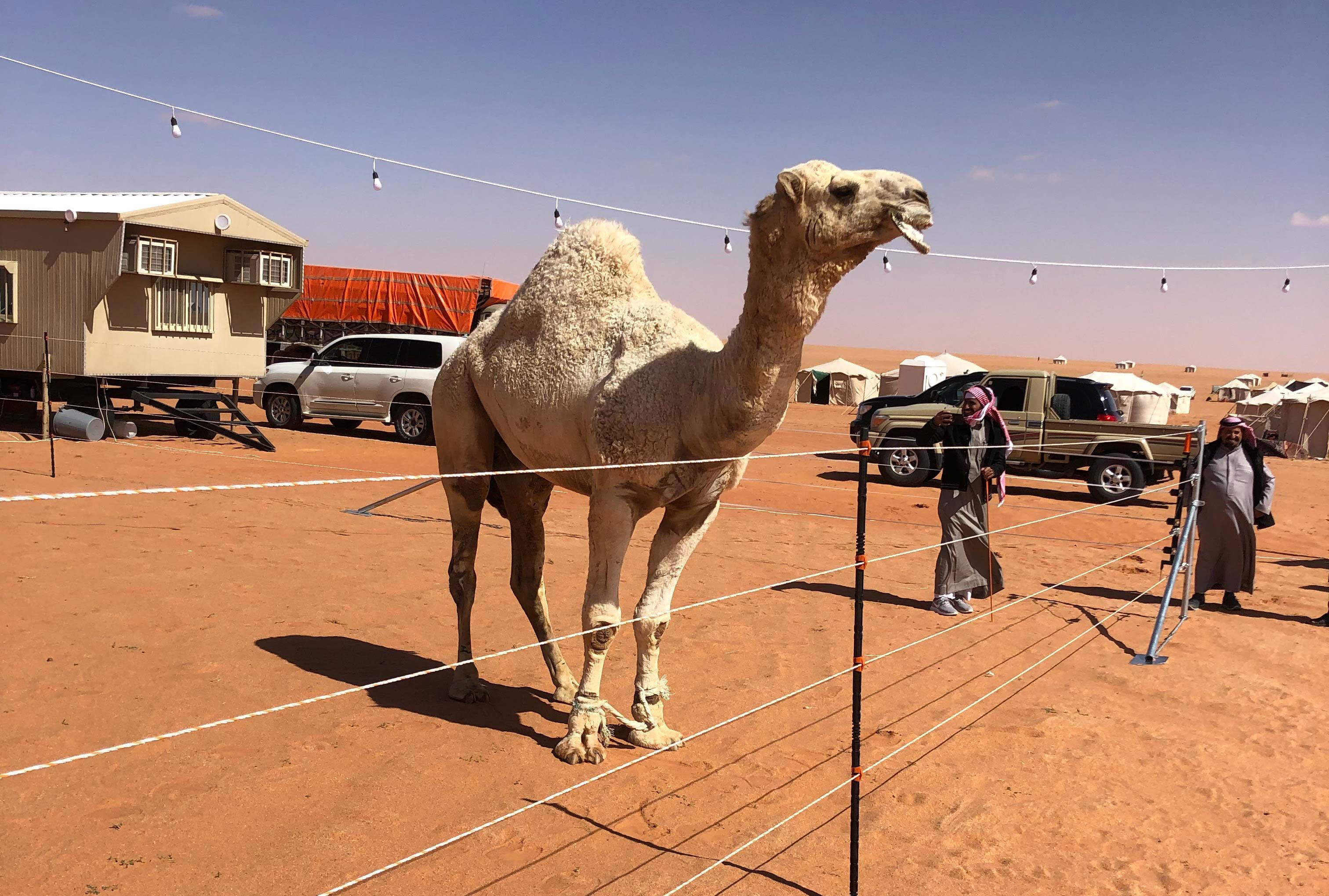 connect-image-owen-s-work-in-saudi-arabia-3-General Purpose Insulated Line post
