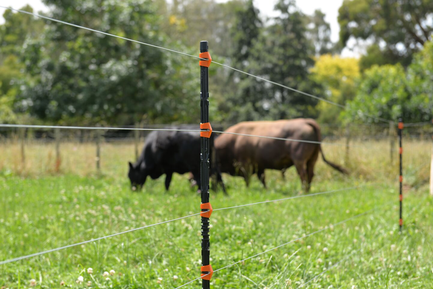 g74201_insulated_line_post_cattle-General Purpose Insulated line post
