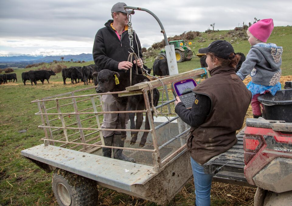 katherine-davis-testimonial-tw3-1901-General Purpose katherine-davis-testimonial-tw3-1901-General Purpose