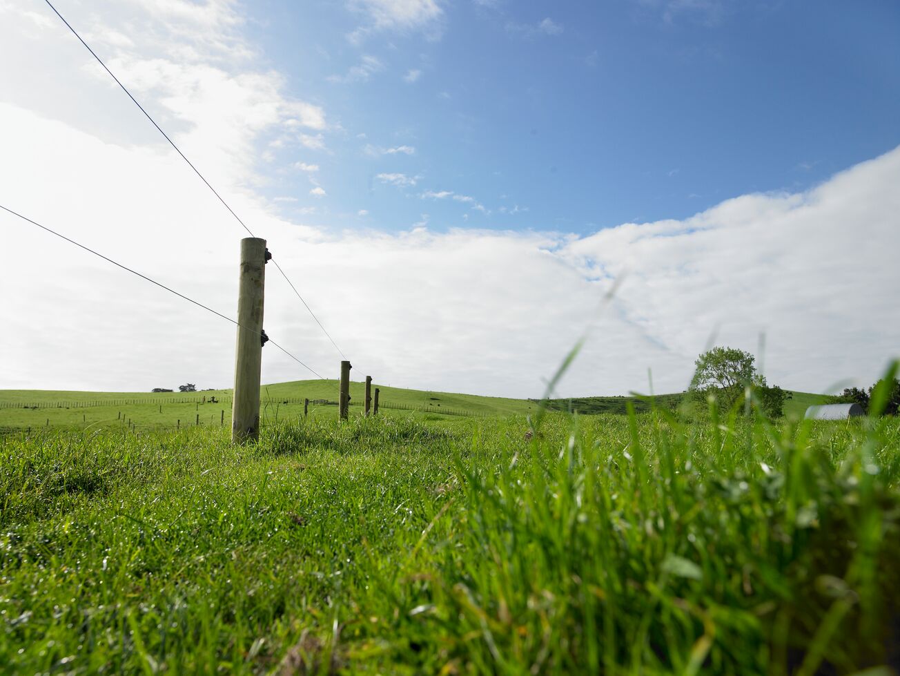 Permanent Fencing Insitu-General Purpose