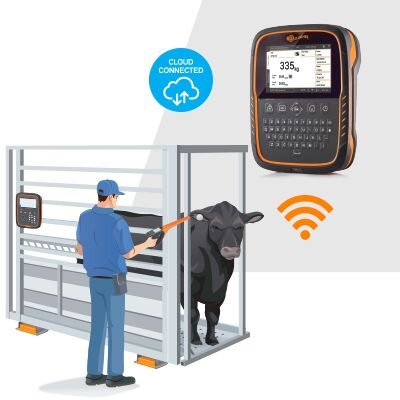 wireless weighing solution diagrams-2-General Purpose wireless weighing solution diagrams-2-General Purpose