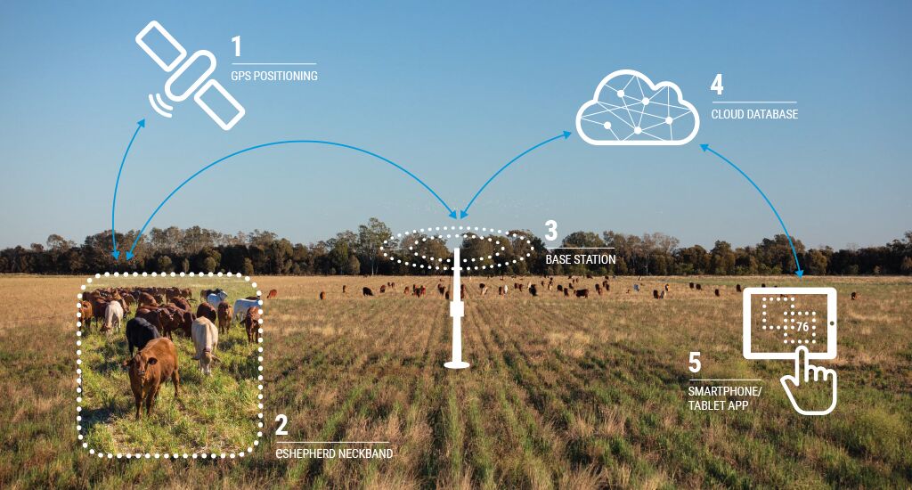 eShepherd Diagram 1024x550-General Purpose eShepherd Diagram 1024x550-General Purpose
