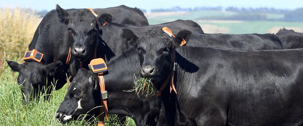 NZ Carousel Image 1024x426-General Purpose NZ Carousel Image 1024x426-General Purpose