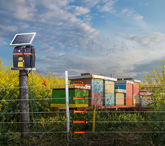 SITECORE-B200 B300 Battery Energizer Insitu-General Purpose Gallagher 5 strand electric fence using fiberglass posts and powered with a b100 battery energizer protecting beehives from wildlife in heavily pollinated pasture designed for bees and beekeeping.
