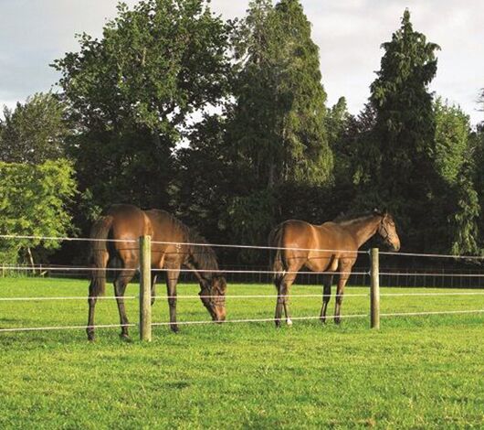 Which electric fence wire is right for you?