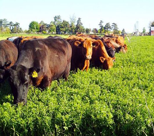 Farm Raches Ranch and farm equipment that stands the test of and saves time