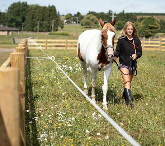 Constructing the right electric fence for your horses