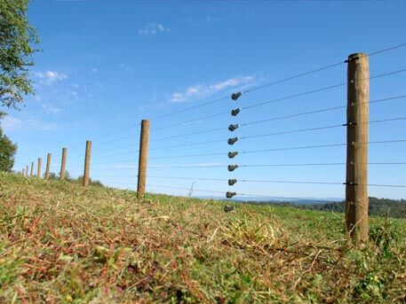 Basic Grazing Practises, How and Why they Work-General Purpose Electric_Fencing_Australia