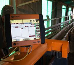 SITECORE-Combinando el pesaje con los sistemas de identificación electrónica para maximizar la rentabilidad agrícola-General Purpose Tsi 2