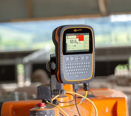 SITECORE-TWR 5 Sheep Auto Drafter Hobbiton8867-General Purpose TWR 5 Sheep Auto Drafter in shed