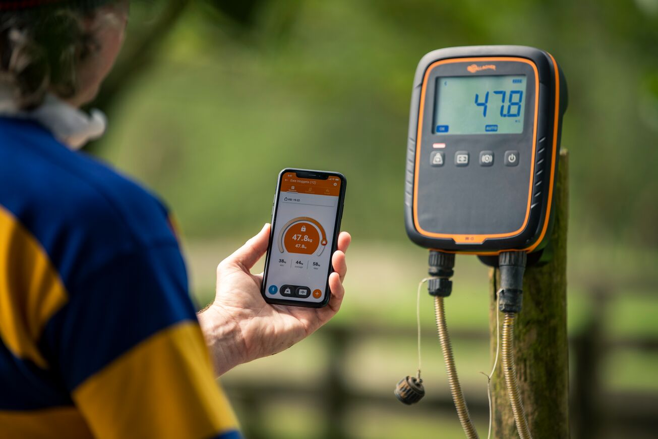 W0 weigh scale synced to phone 