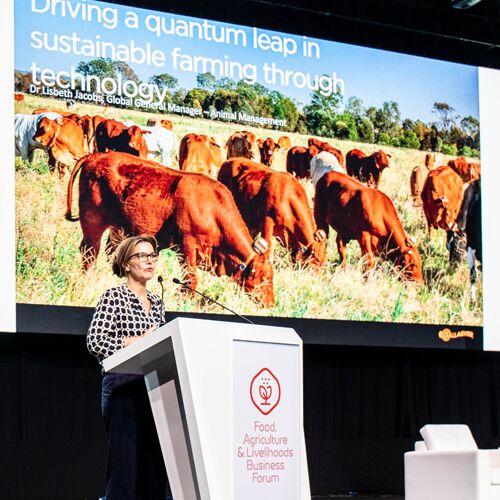 Lisbeth Jacobs presenting-General Purpose Lisbeth Jacobs presenting at the Food Agriculture and Livelihoods Business Forum on 21 February in Dubai as part of Expo 2020.