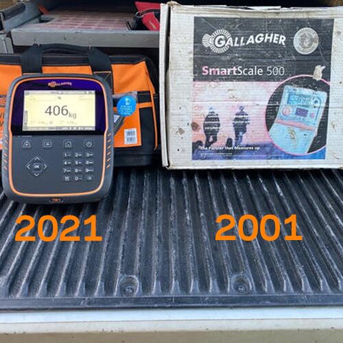 Weighing evolution website-General Purpose Weighing evolution website-General Purpose