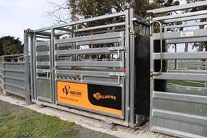 Norton Crush on concrete pad in yard