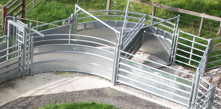 A photo of an N-Force gate from above where its position in the race is visible