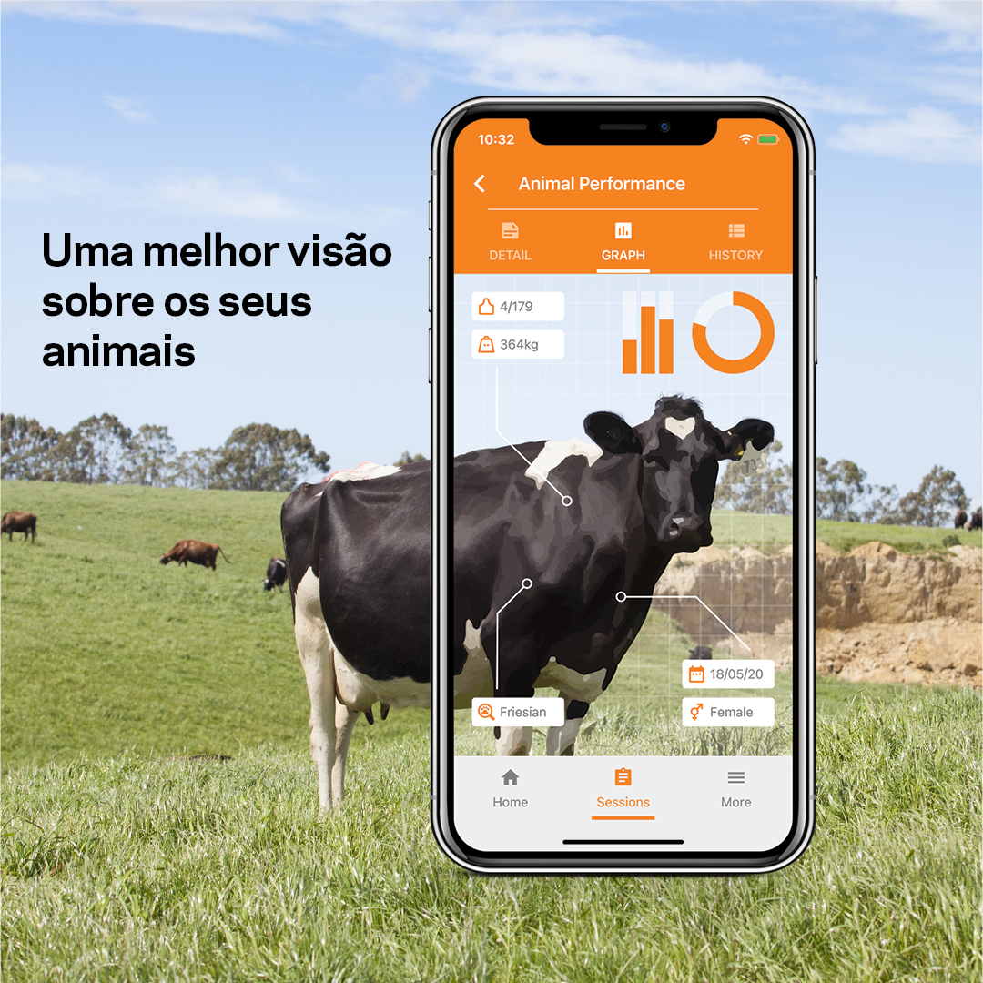Uma melhor visão sobre os seus animais