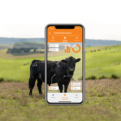 A smartphone screen displays the Animal Performance App with details about a cow. 