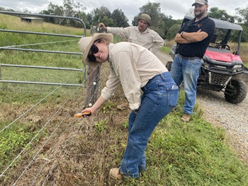 Electric fence training at Wetherby Station