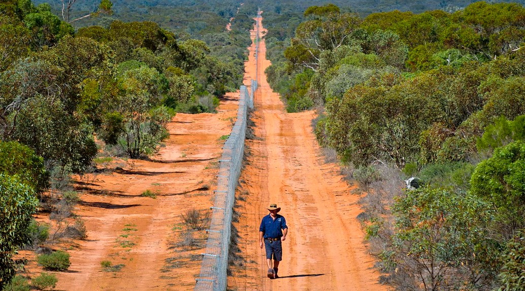 Electric Fence stretching into the distance as a farmer walks along side it