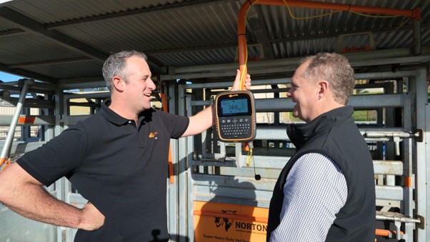 Gallagher Area Manager Jack Linn and Territory Manager Phil Johnstone capture real-time livestock data using the Gallagher TWR-5 Weigh Scale and Reader during the steer induction. Gallagher Area Manager Jack Linn and Territory Manager Phil Johnstone capture real-time livestock data using the Gallagher TWR-5 Weigh Scale and Reader during the steer induction.