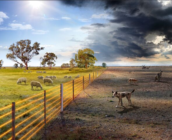 Suspension fencing