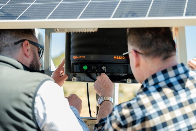 Monarto Safari South Australia