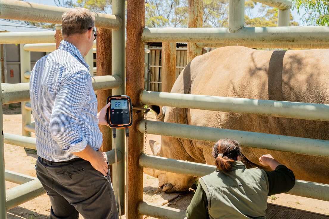Monarto Safari South Australia