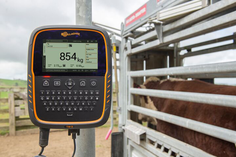 Backgrounding operation relies on robust and accurate Gallagher management tools Backgrounding operation relies on robust and accurate Gallagher management tools