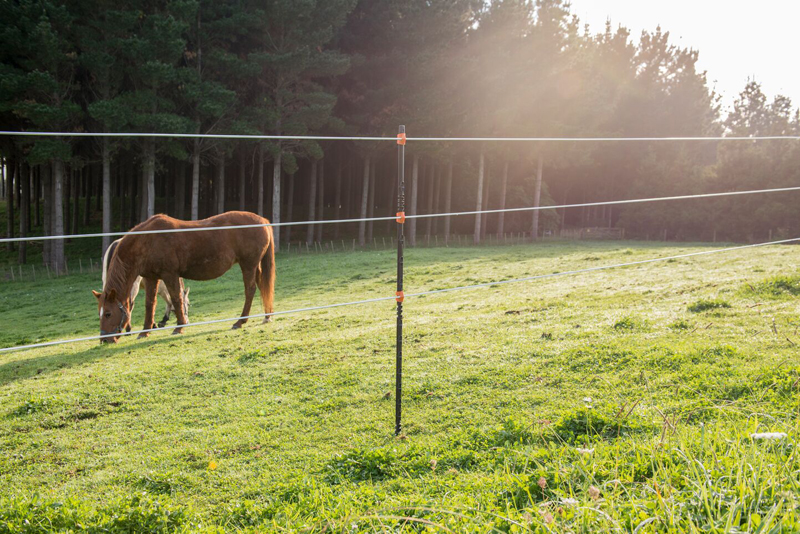 Gallagher i series fence energizer systems offer security and peace of mind