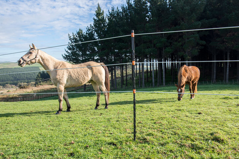 Horse-safe Gallagher Insulated Line Posts quickly fitted the bill for peace of mind