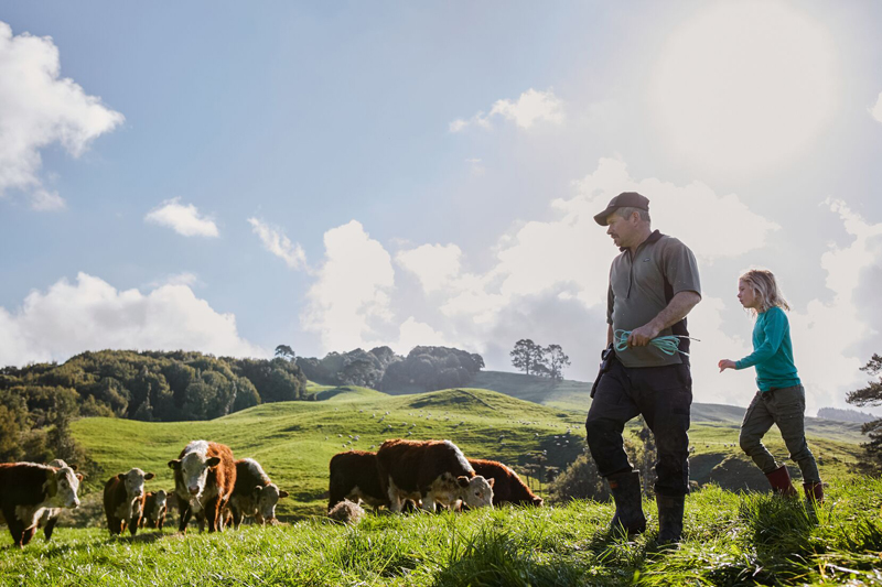 Overgrazing  preventative management straregies