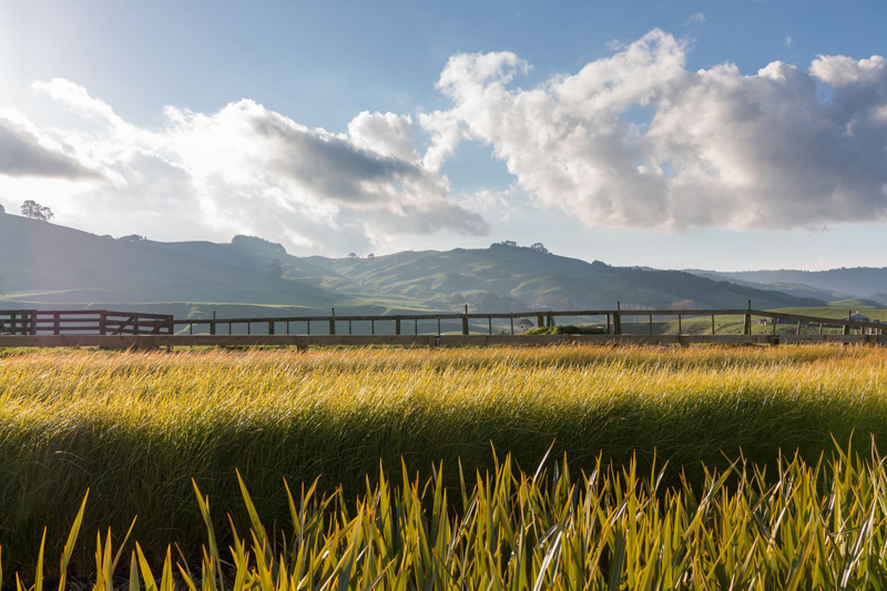 Plan and prepare now for spring and summer grazing Plan and prepare now for spring and summer grazing