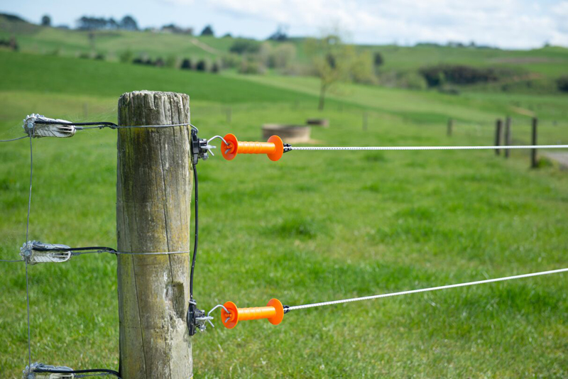 Simple is best for rotational grazing fencing Simple is best for rotational grazing fencing