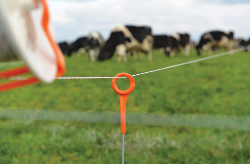 The BUZZ about Pasture Management The BUZZ about Pasture Management