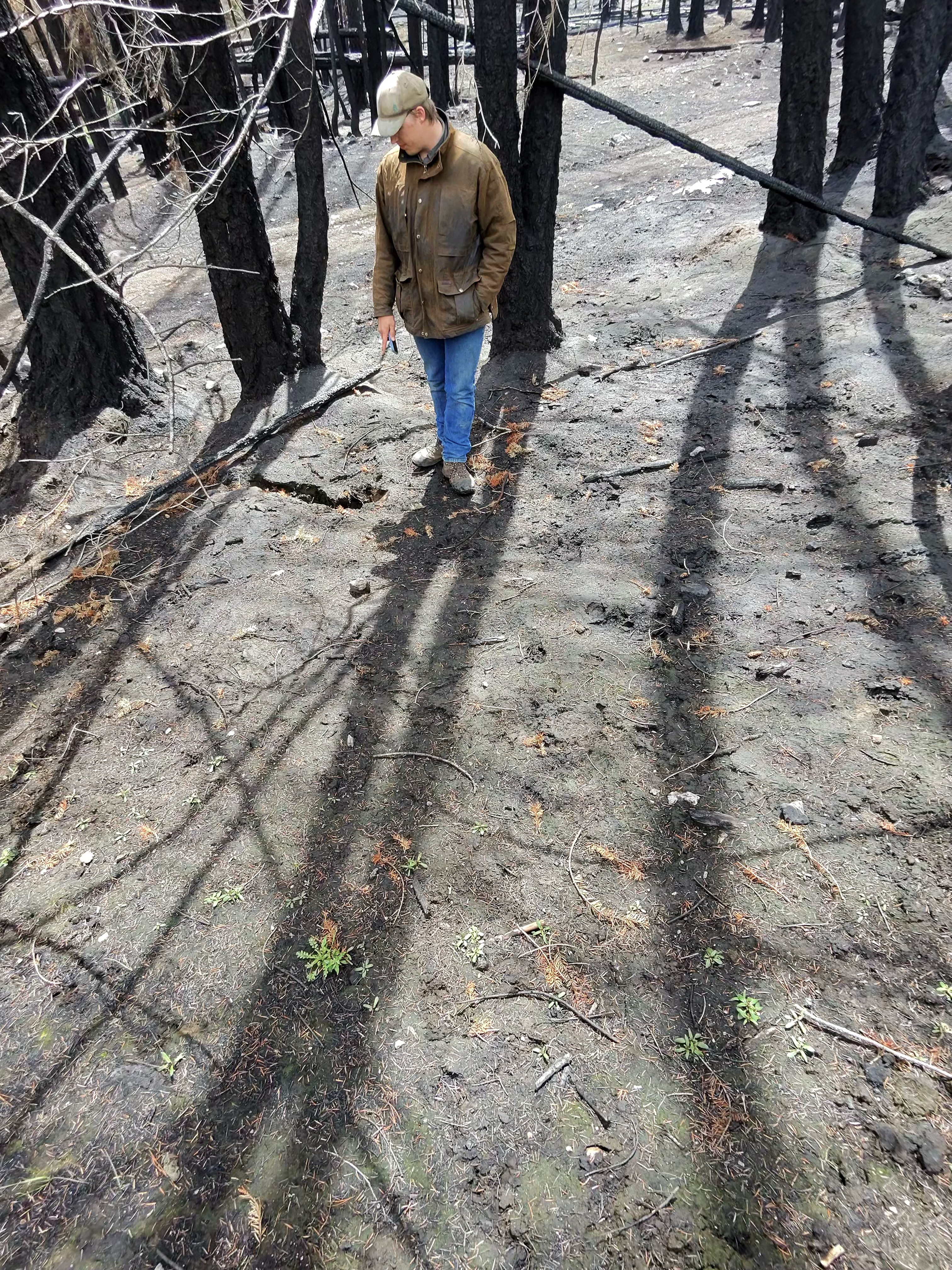 Thomas Alexander surveys fire damage