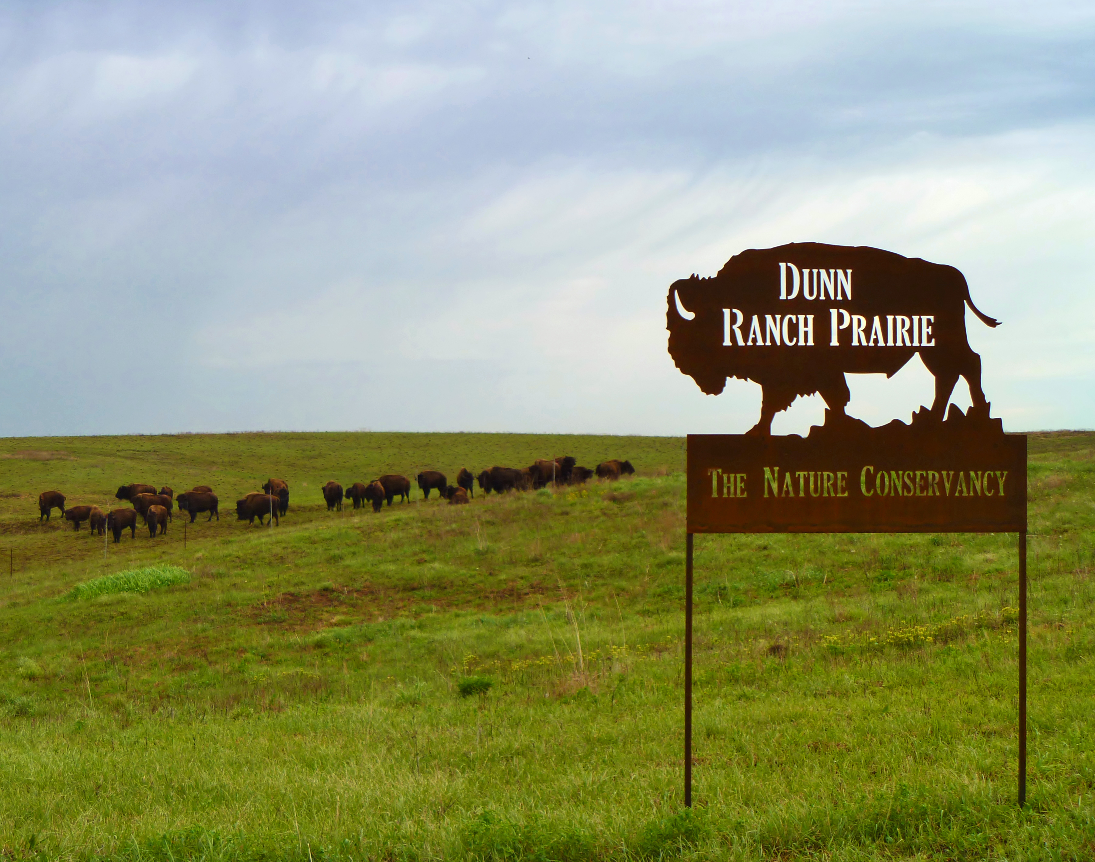 Dunn Ranch Prairie - The Nature Conservancy