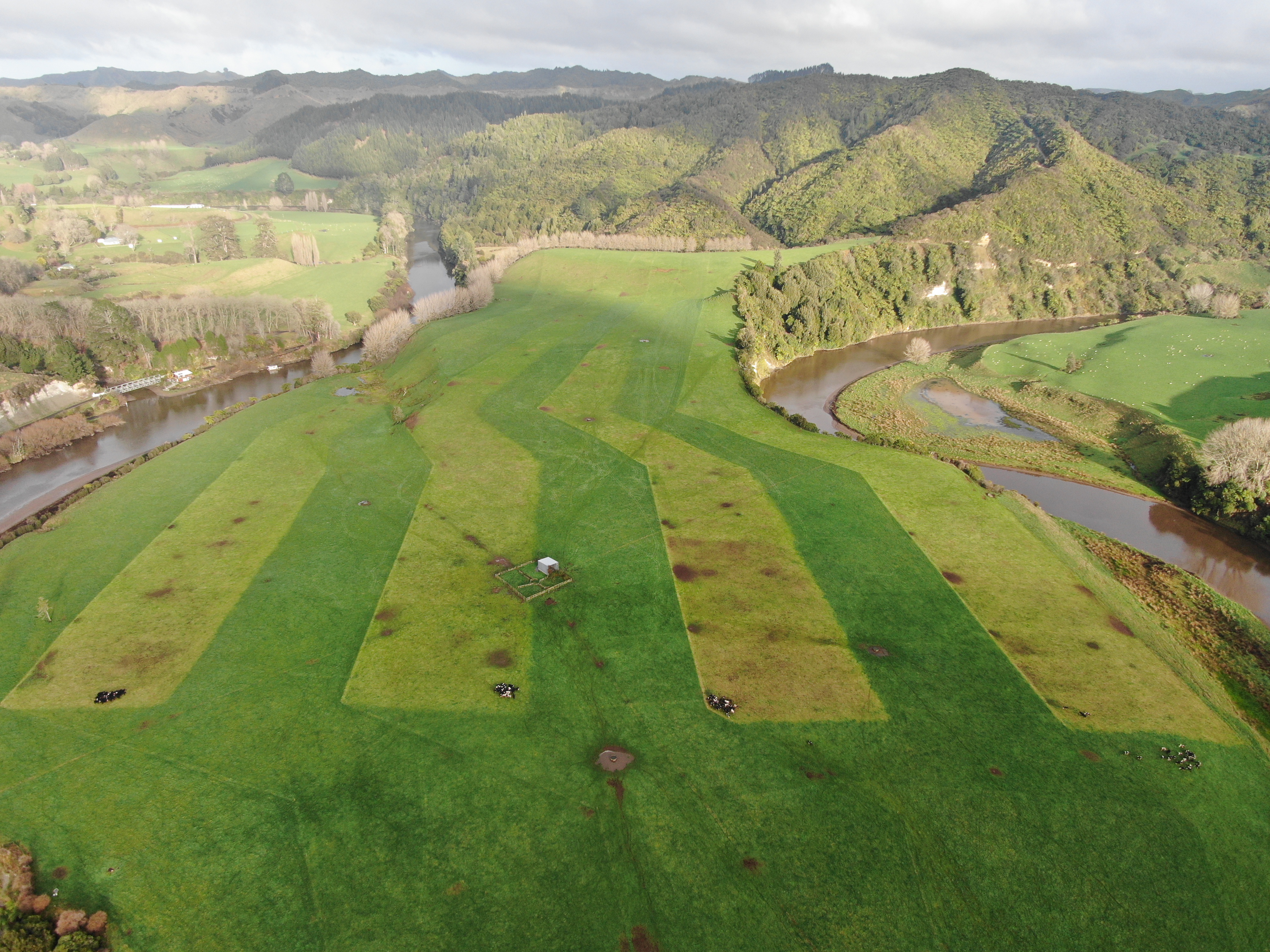 Aerial image of a farm with 4 blocks of clearly defined grazing lines