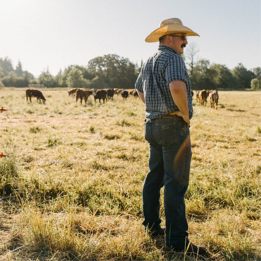 Jake Vancey - Tracking Y Ranch