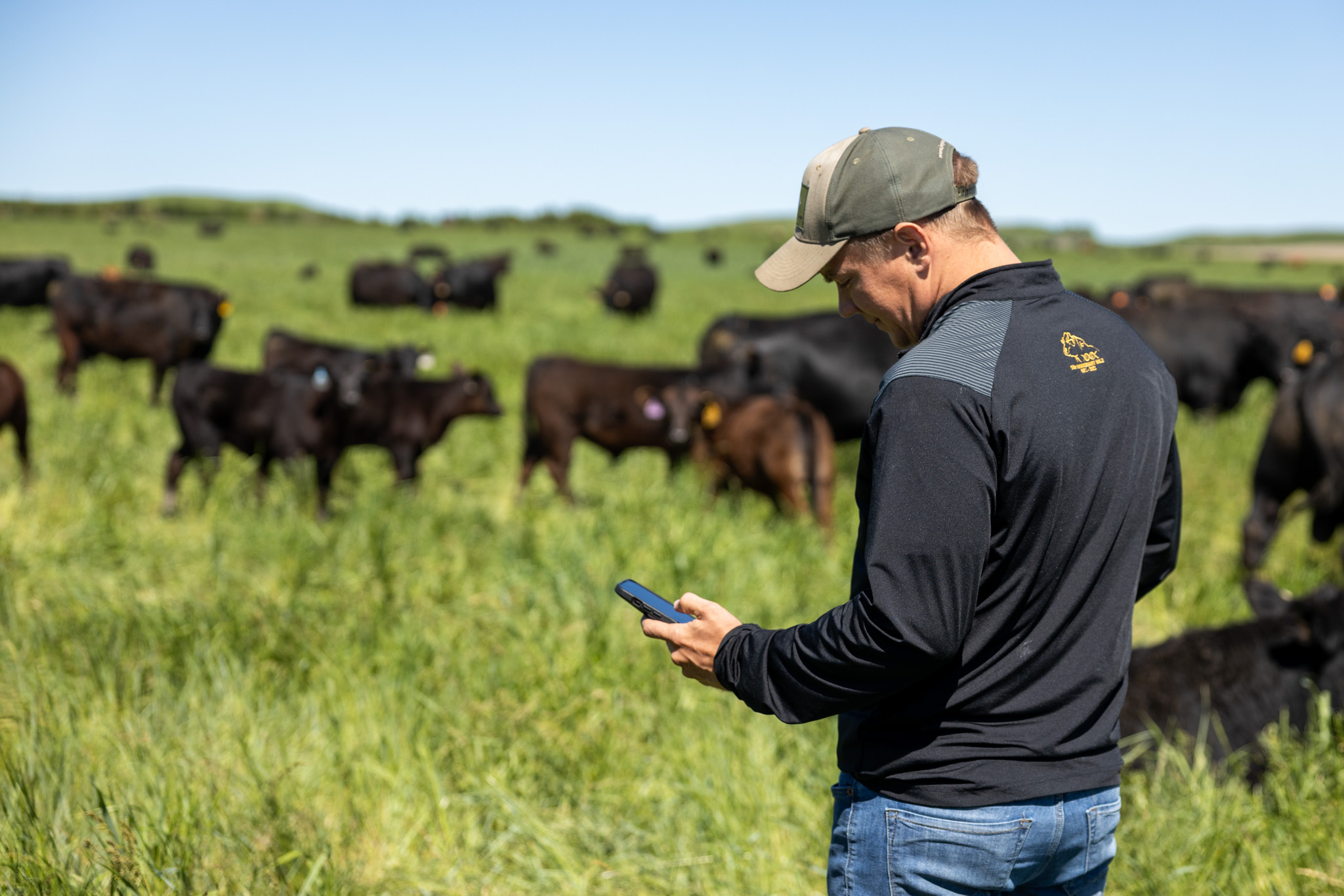 Jorgensen Land and Cattle