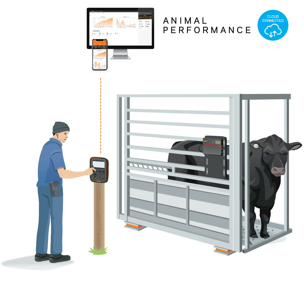 Fully integrated AP&T system